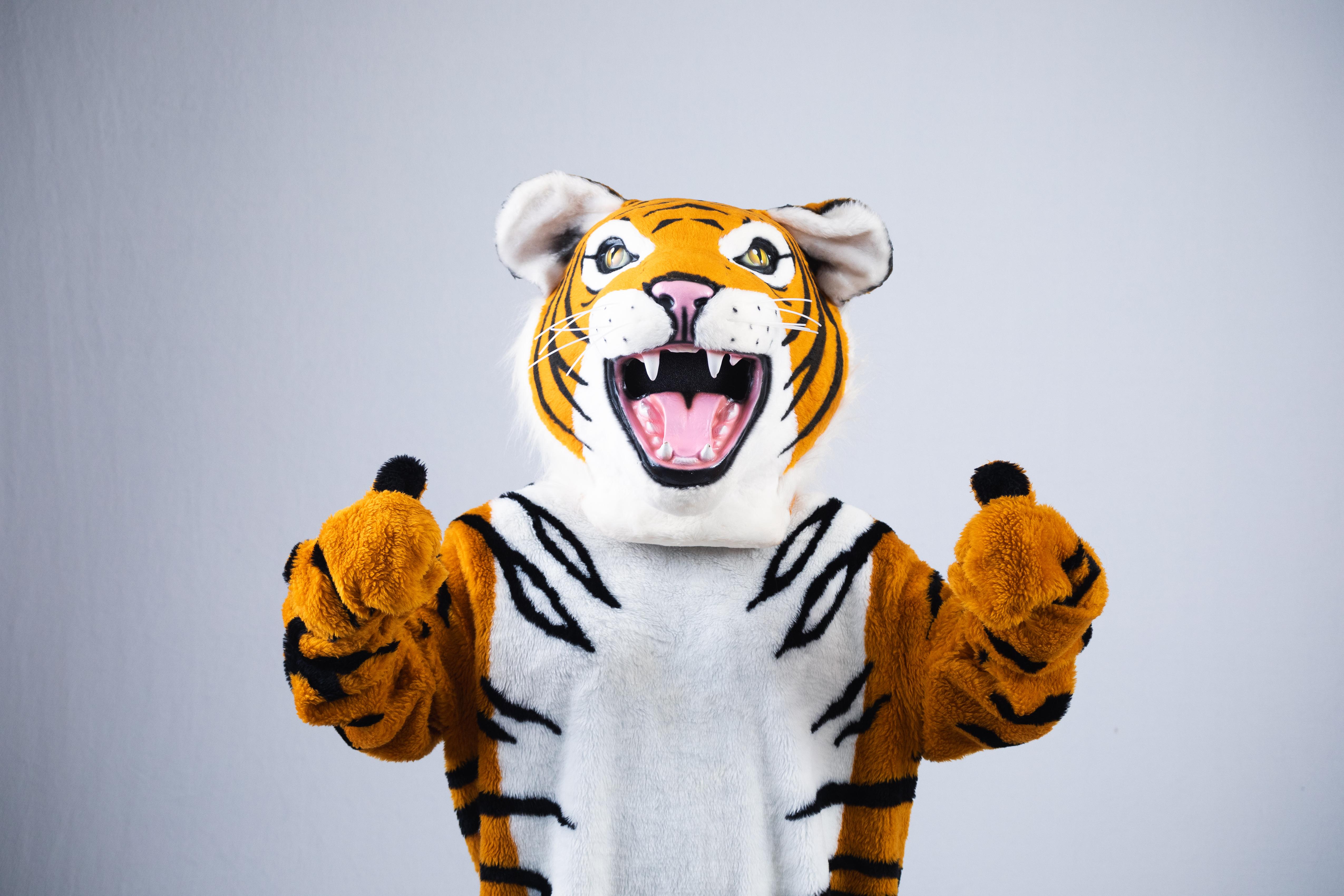 Thomas the Tiger giving the camera two thumbs up!